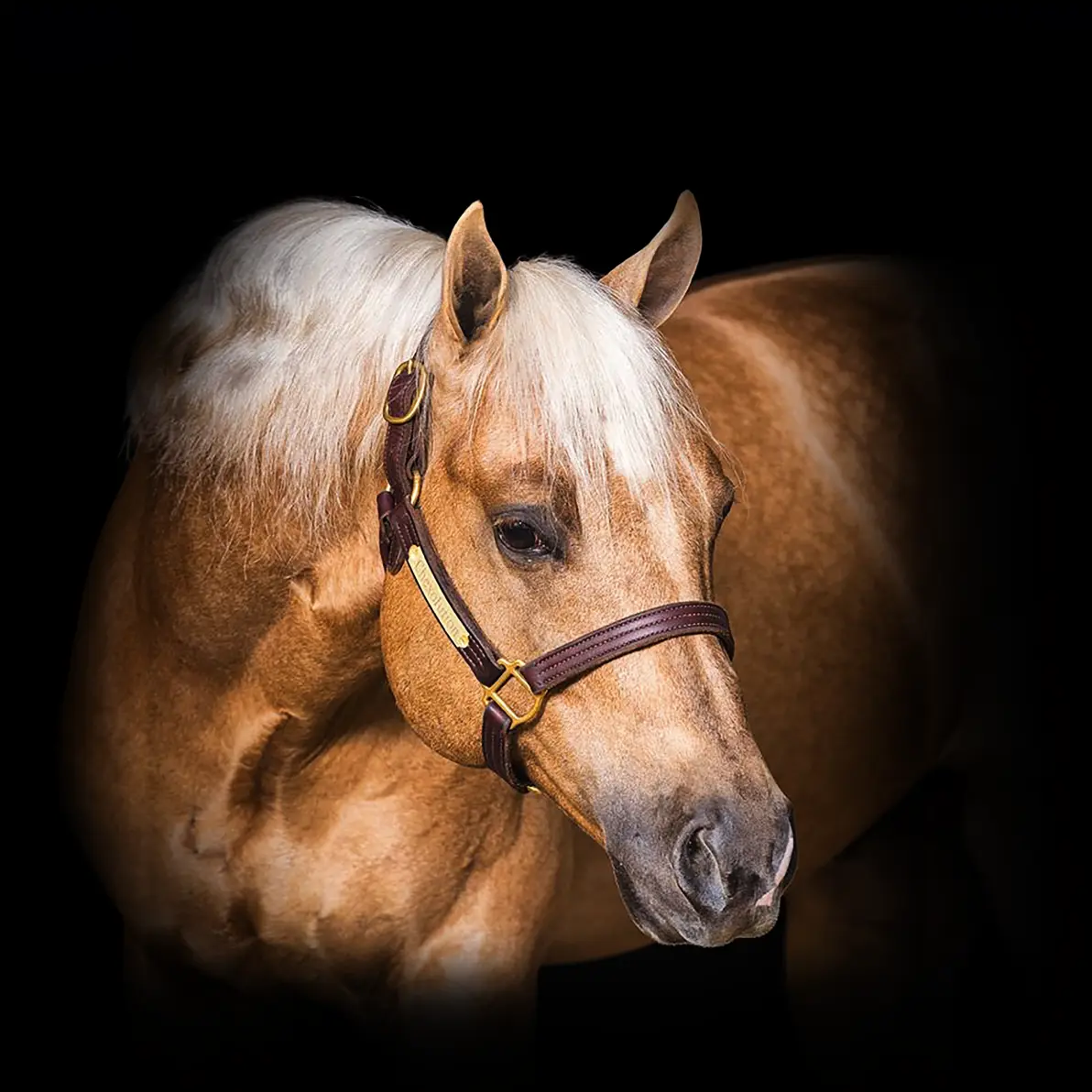 Ranch – My WordPress Blog